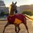 BadHorseBad