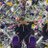 lidia_adl