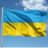 rEVolut43619041